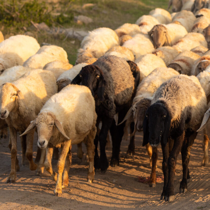 AdobeStock 477322054 scaled e1765824634548