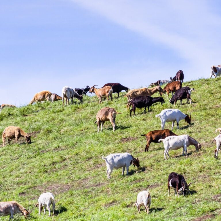 AdobeStock 340113266 scaled e1765816390276