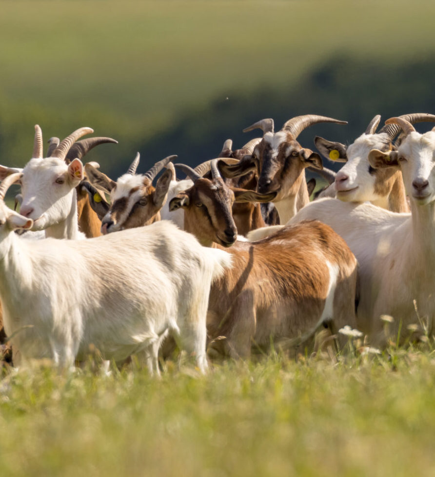 AdobeStock 464411765 scaled e1765823311979